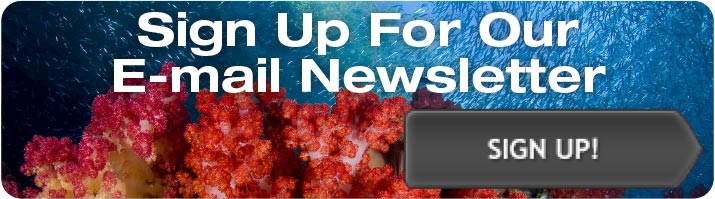 Sign Up for Our Email Newsletter!
