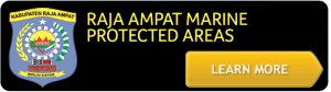 RAMPAActionButton