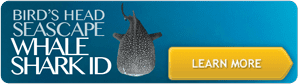 whaleshark-id-action_btn-300×83